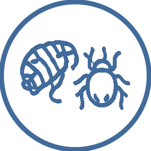 icon-fleas-and-ticks-2