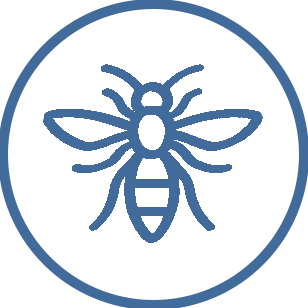 icon-wasp-blue