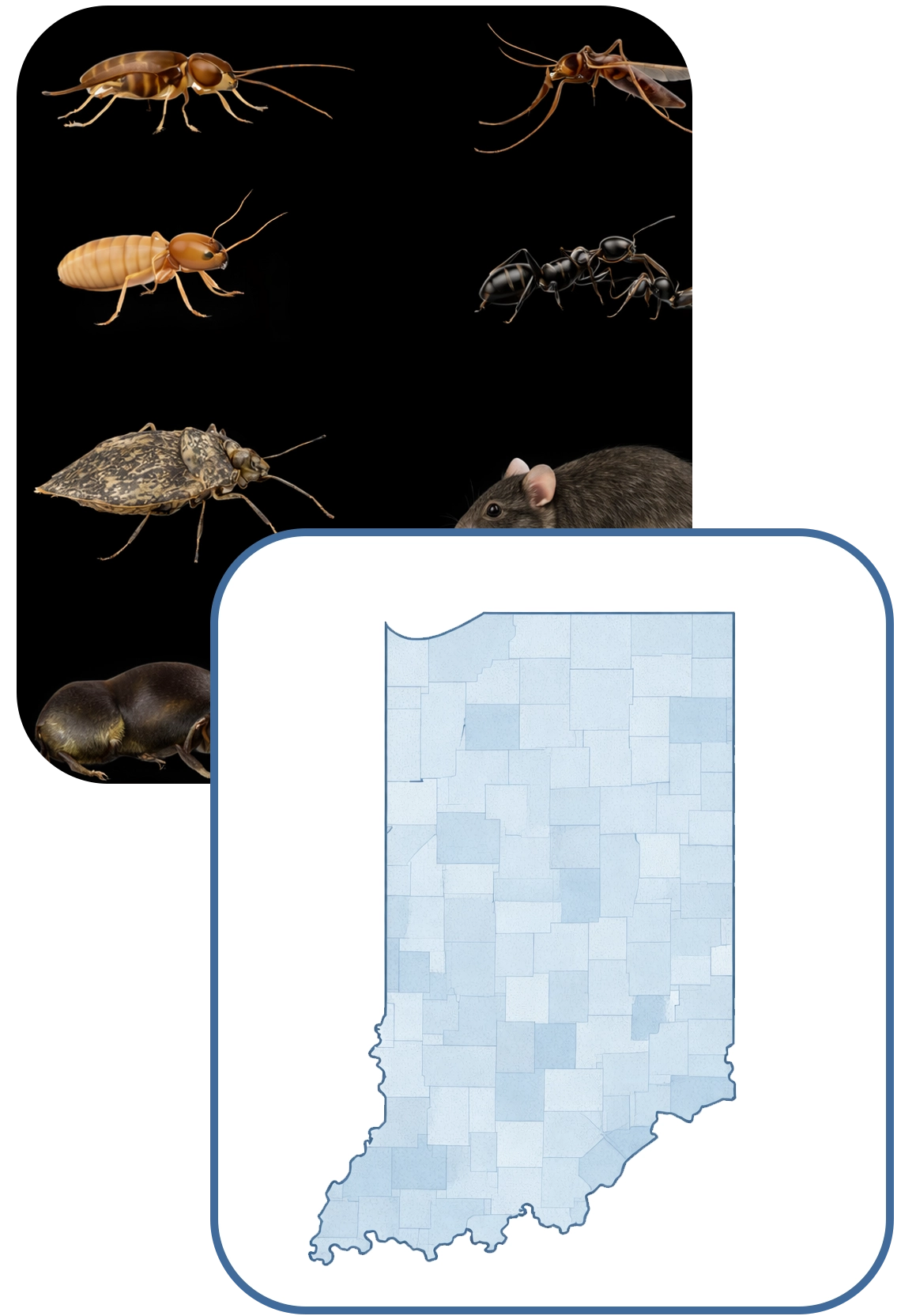 pest-control-indiana