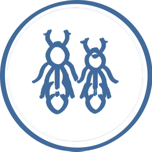 termites-new-blue